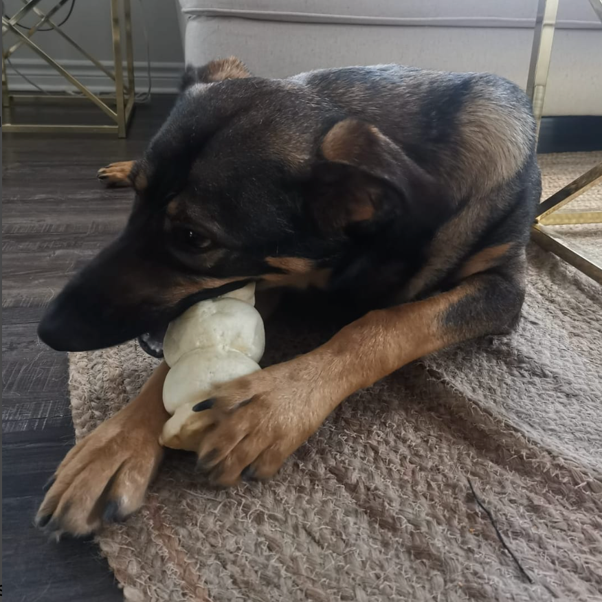 Bully Bunches - 5-6 Inch Beef Cheek Roll