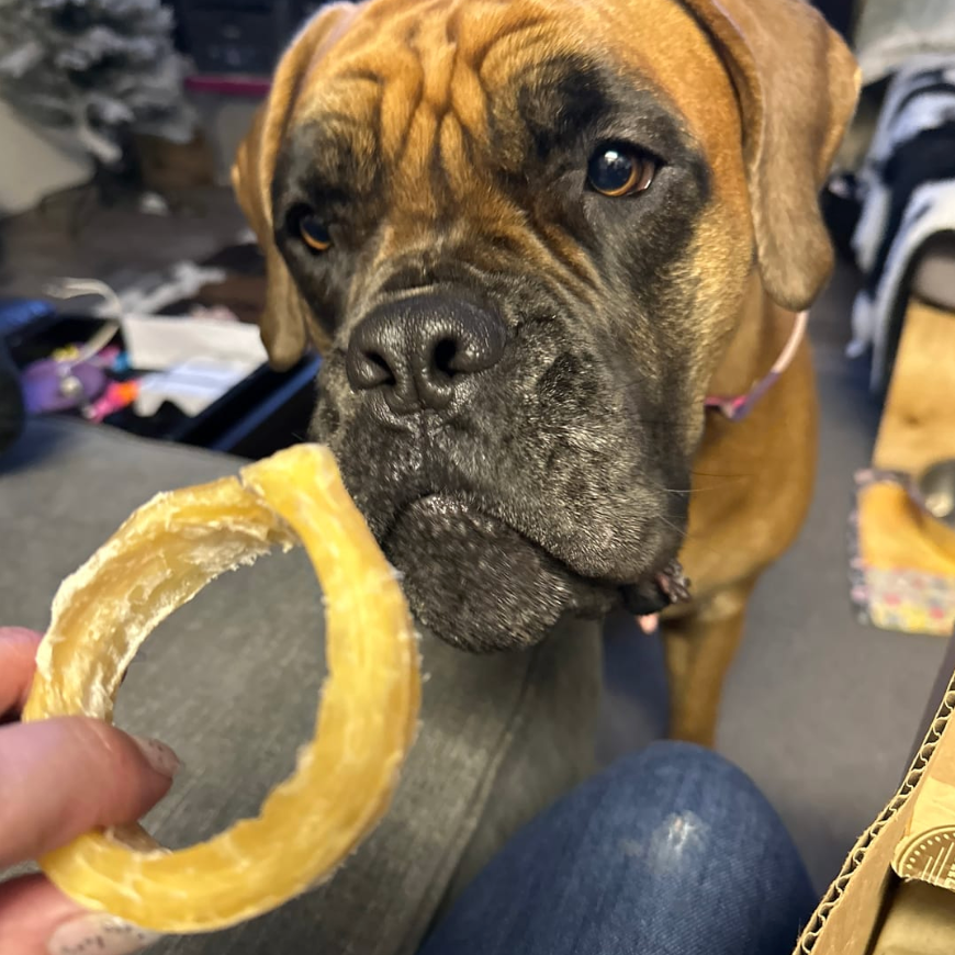 Bully Bunches - Beef Backstrap Ring