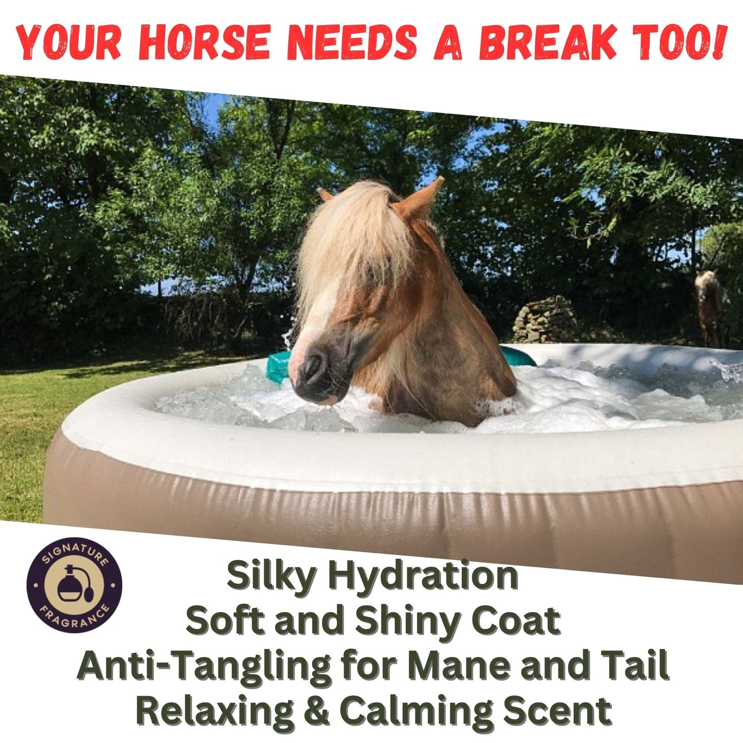 Zone Protects Silk-Stride Equine Shampoo; Frosted Lavender, 32oz