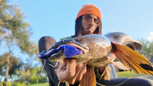 American Snakehead Customs Frankenfrog