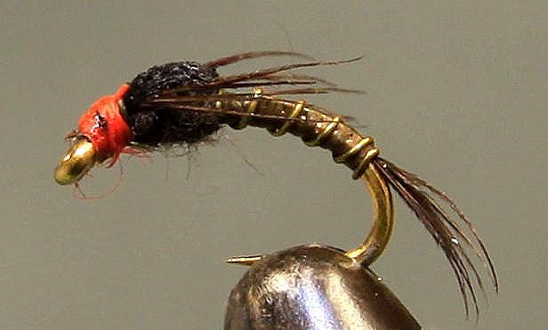 Stone Creek Split Foam Back™ - Orange Head Baetis