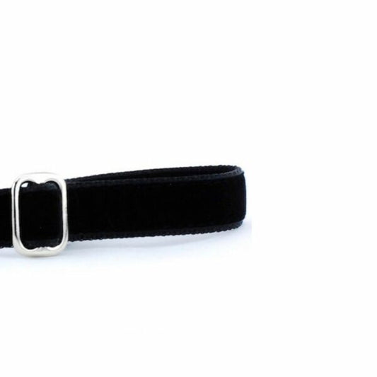 2 Hounds Design Black Velvet Dog Leash