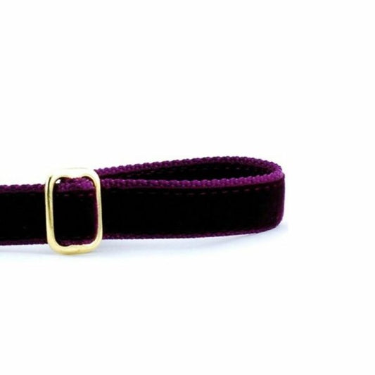 2 Hounds Design Burgundy Velvet Dog Leash