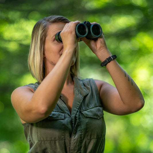 Alpen Wings 8x56 Binoculars