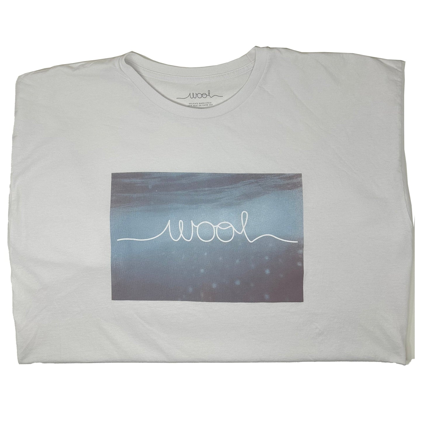 Wool Skateboards Big Fish Tee