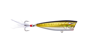 Ark Topwater Popper - Angler's Pro Tackle & Outdoors