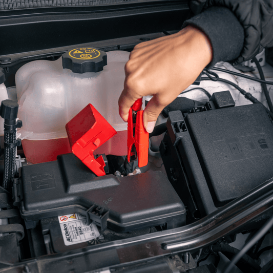 Battery Tender® Alligator Clip and Ring Terminal Combo with Quick Disconnect