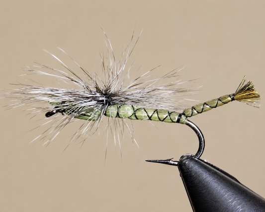 Stone Creek Parachute Damselfly