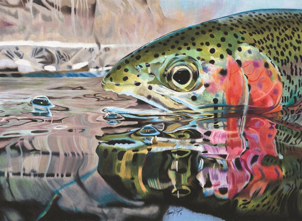 Cognito Brands Men's Sun Protective Fishing Shirt Rainbow Reflections/Salmon - Angler's Pro Tackle & Outdoors