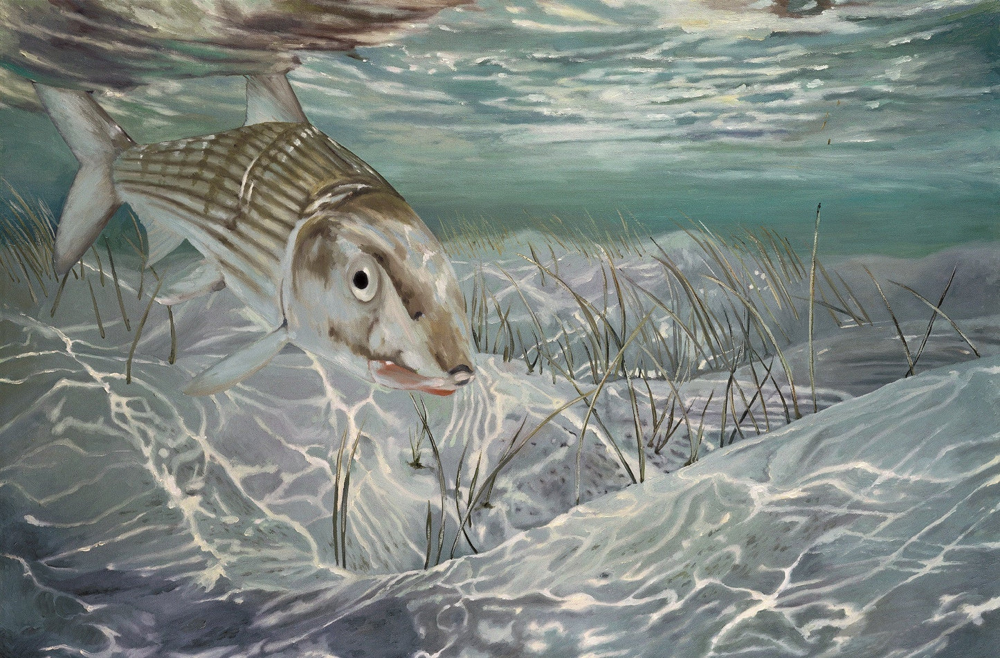 Cognito Brands Women's Sun Protective Fishing Shirt Seafoam Green/Bonefish - Angler's Pro Tackle & Outdoors