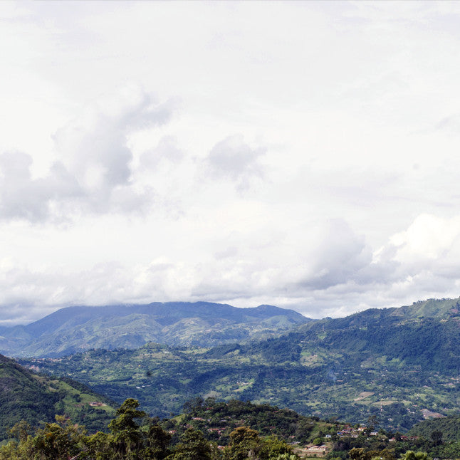 Koffee Kult Colombia Huila Coffee
