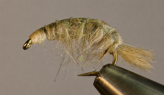 Stone Creek Molting Scuds
