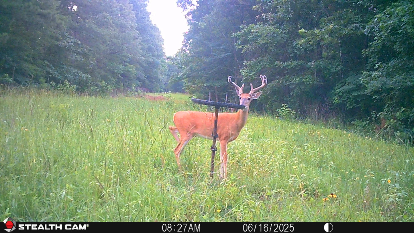 Air Boss Buck Weed ... Deer Love it!