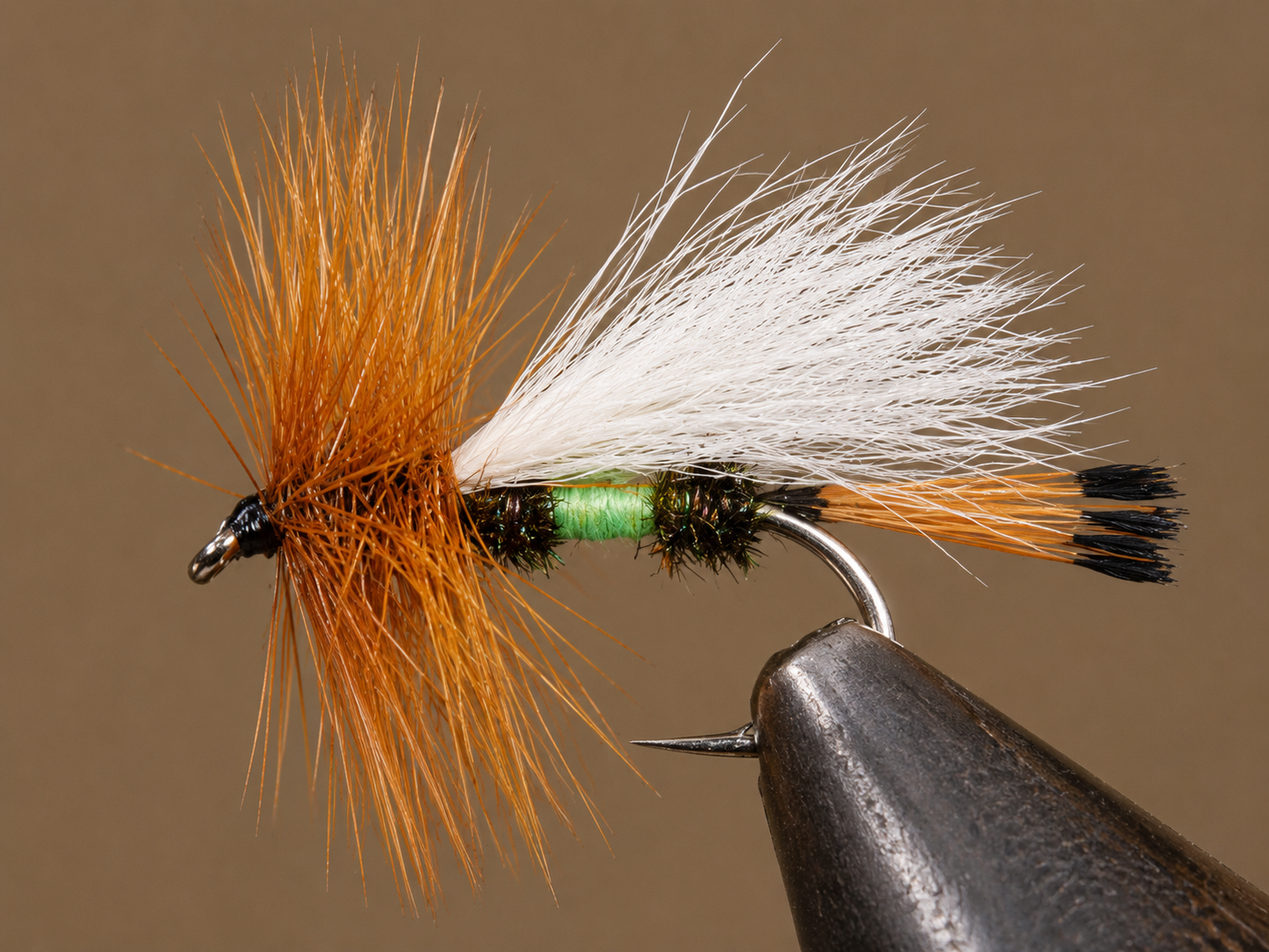 Stone Creek Royal Coachman Trude (Lime)
