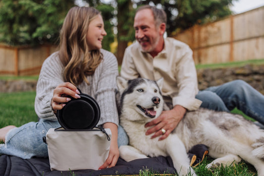 Picnic Time Tarana Dog Travel Kit