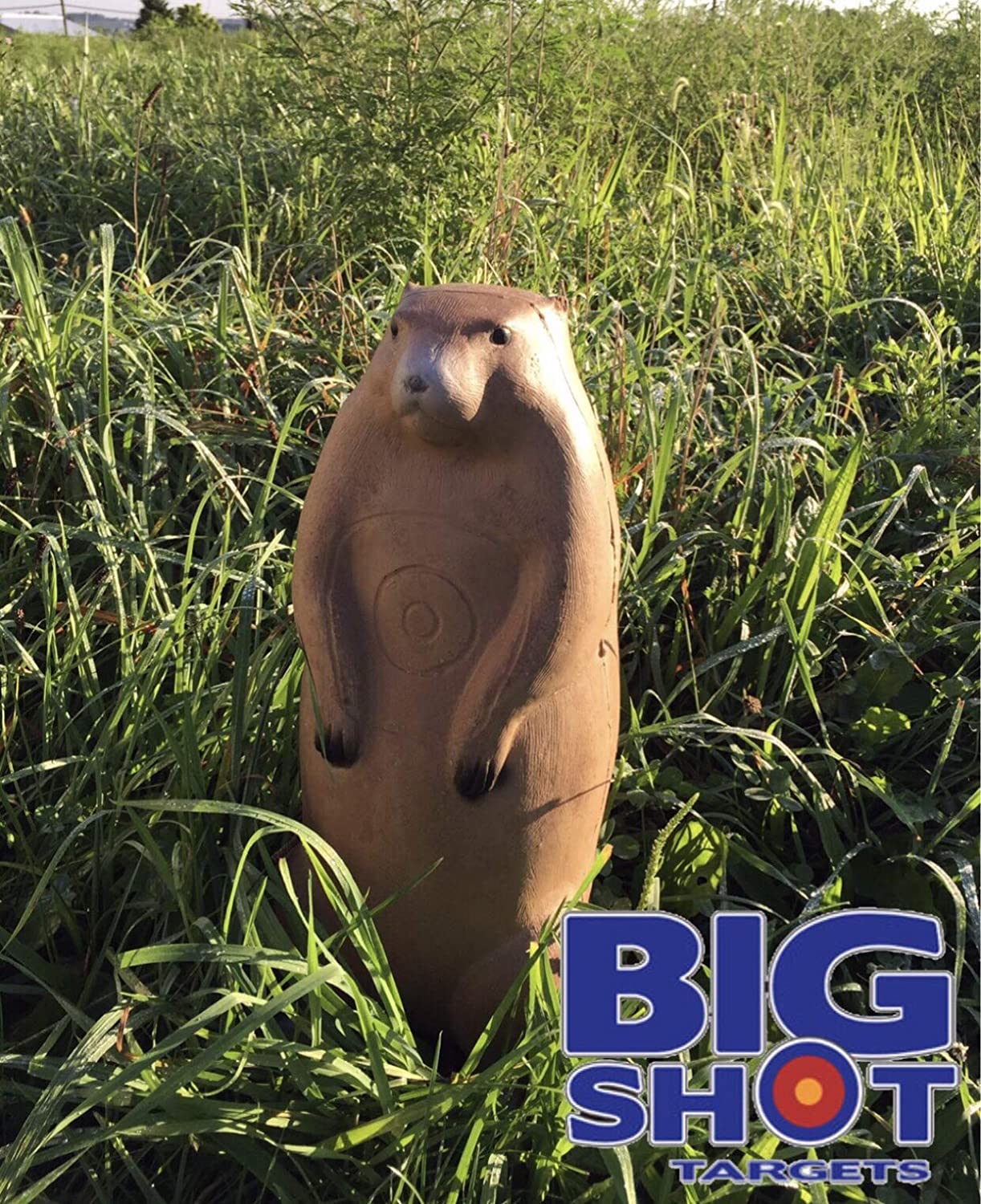 BIGshot Archery Pro Hunter Raccoon And Groundhog Combo Pack Archery Targets