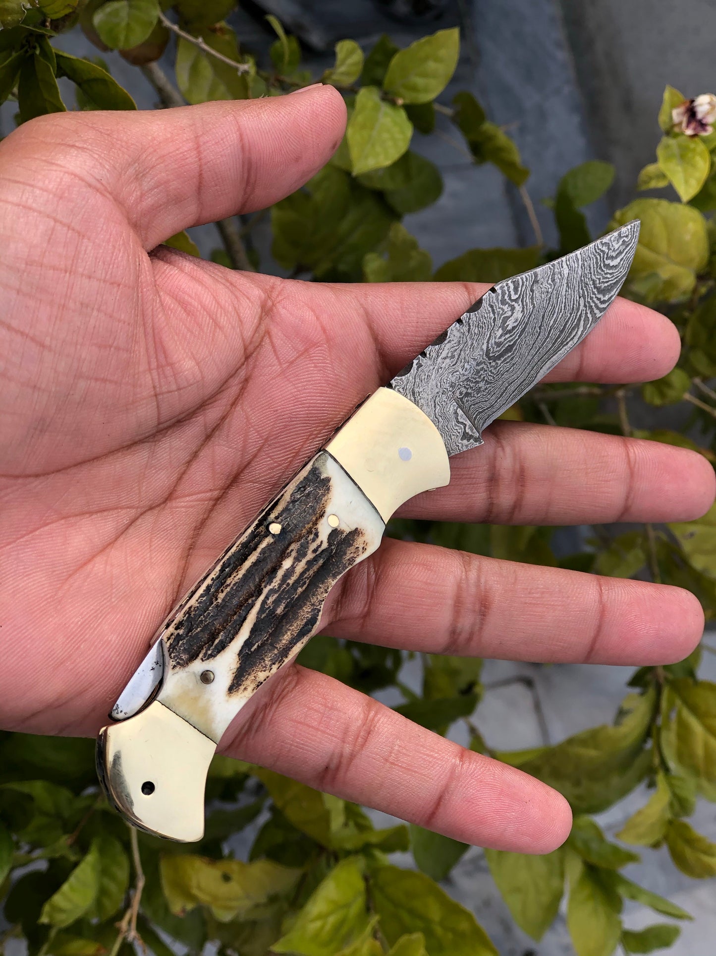 KBS Knives Custom Handmade Damascus Steel Folding Pocket Knife with Antler Horn and Brass Bolsters Handle and Leather Case - For Sale by KBS Knives Store