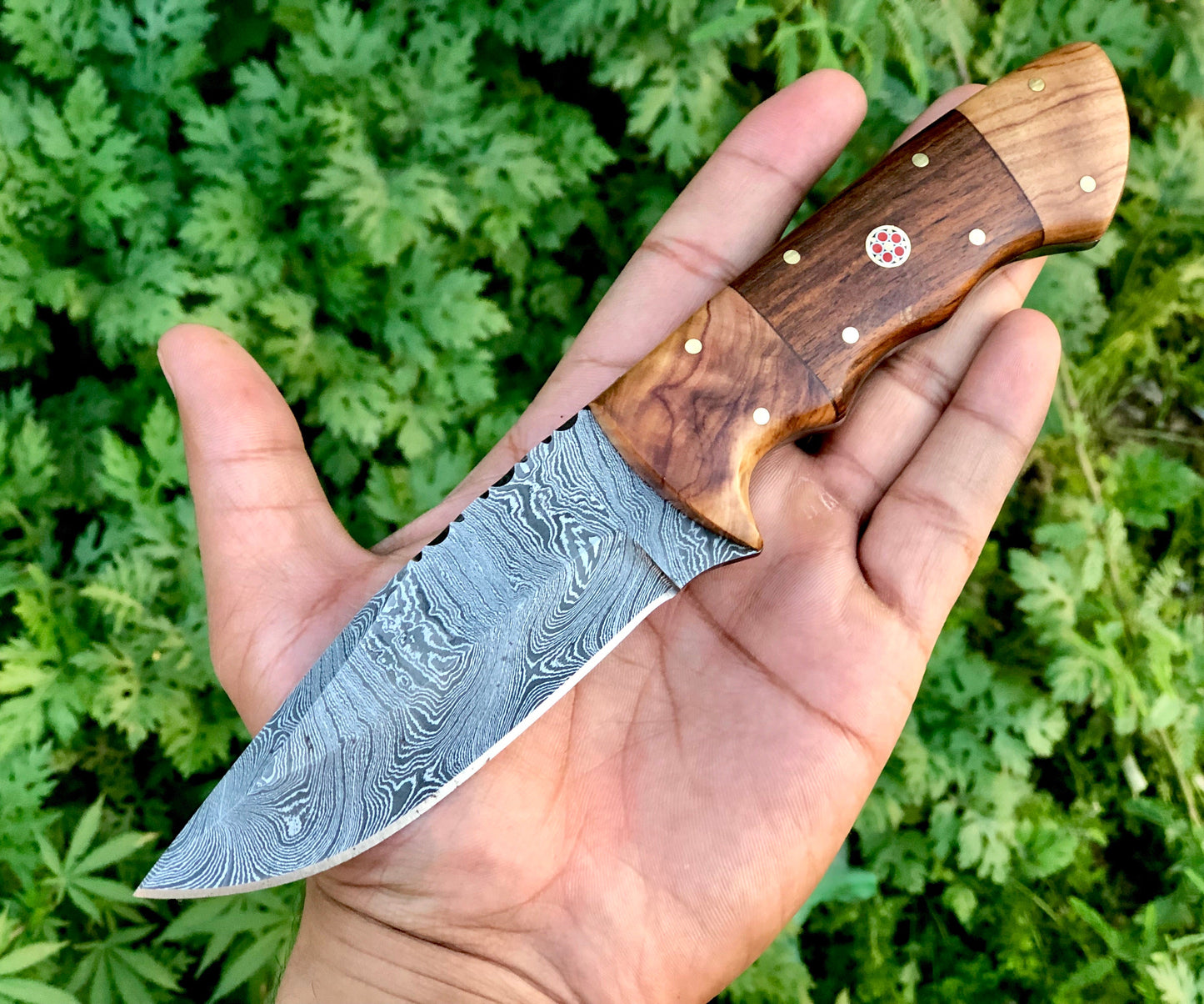 KBS Knives Damascus Hunting Skinning Knife