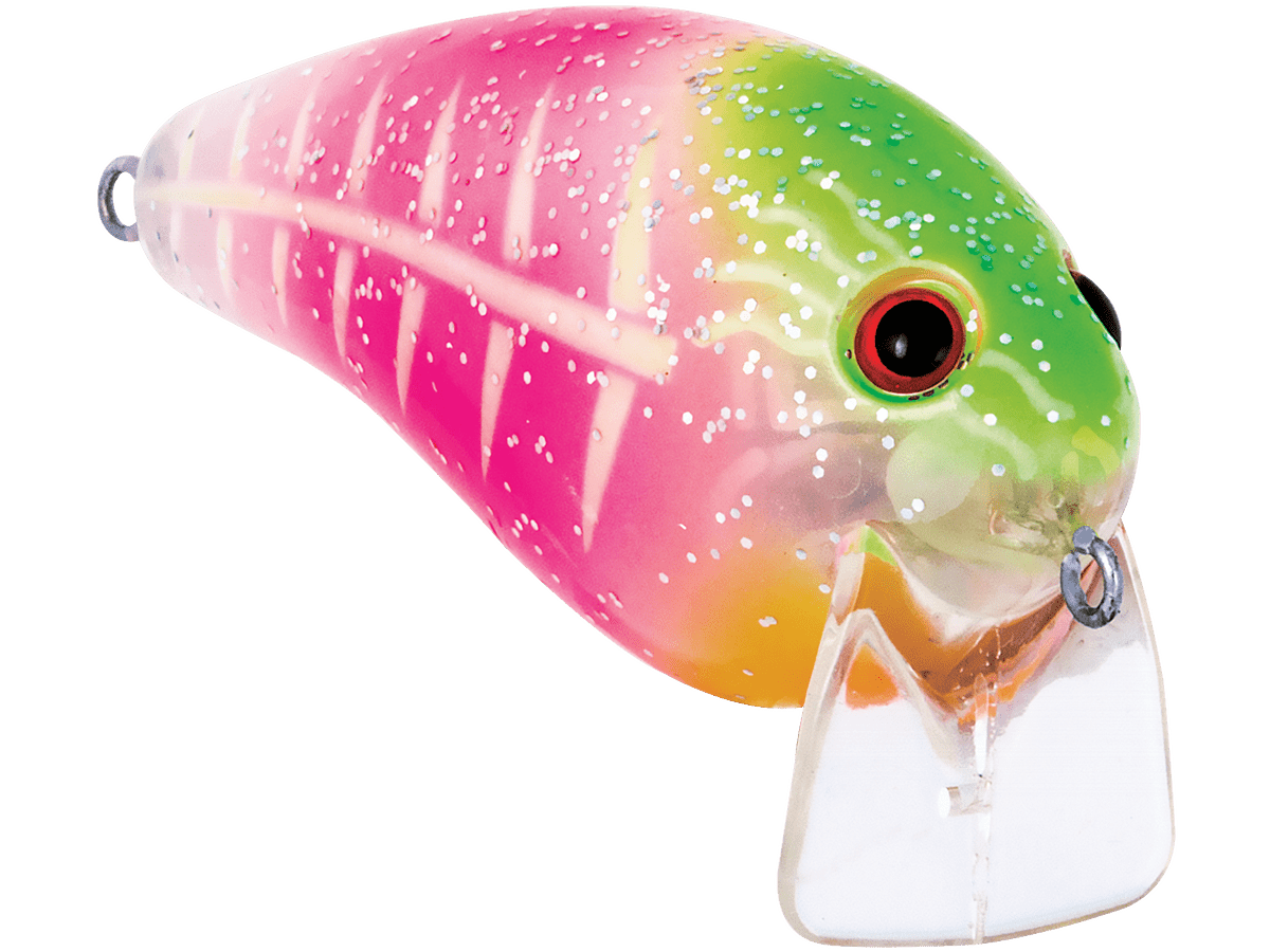 Livingston Lures Pro Wake - Angler's Pro Tackle & Outdoors