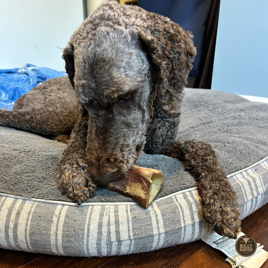 Bully Bunches - 5-6 Inch Marrow Bone