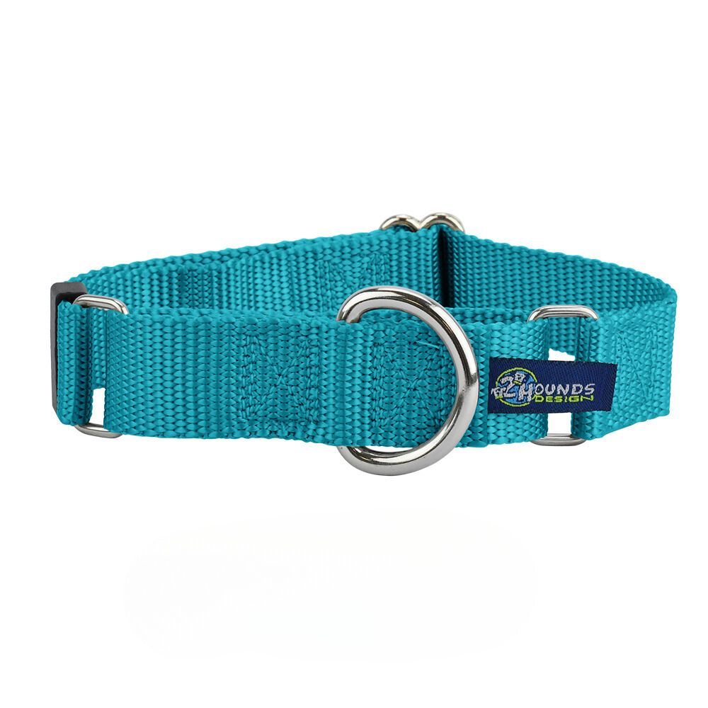 2 Hounds Design 5/8″ and 1″ Teal Nylon Martingale Dog Collar