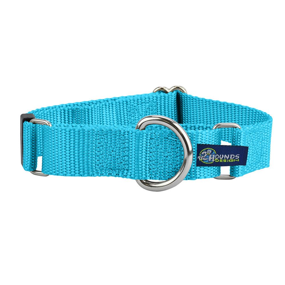 2 Hounds Design 5/8″ and 1″ Turquoise Nylon Martingale Dog Collar