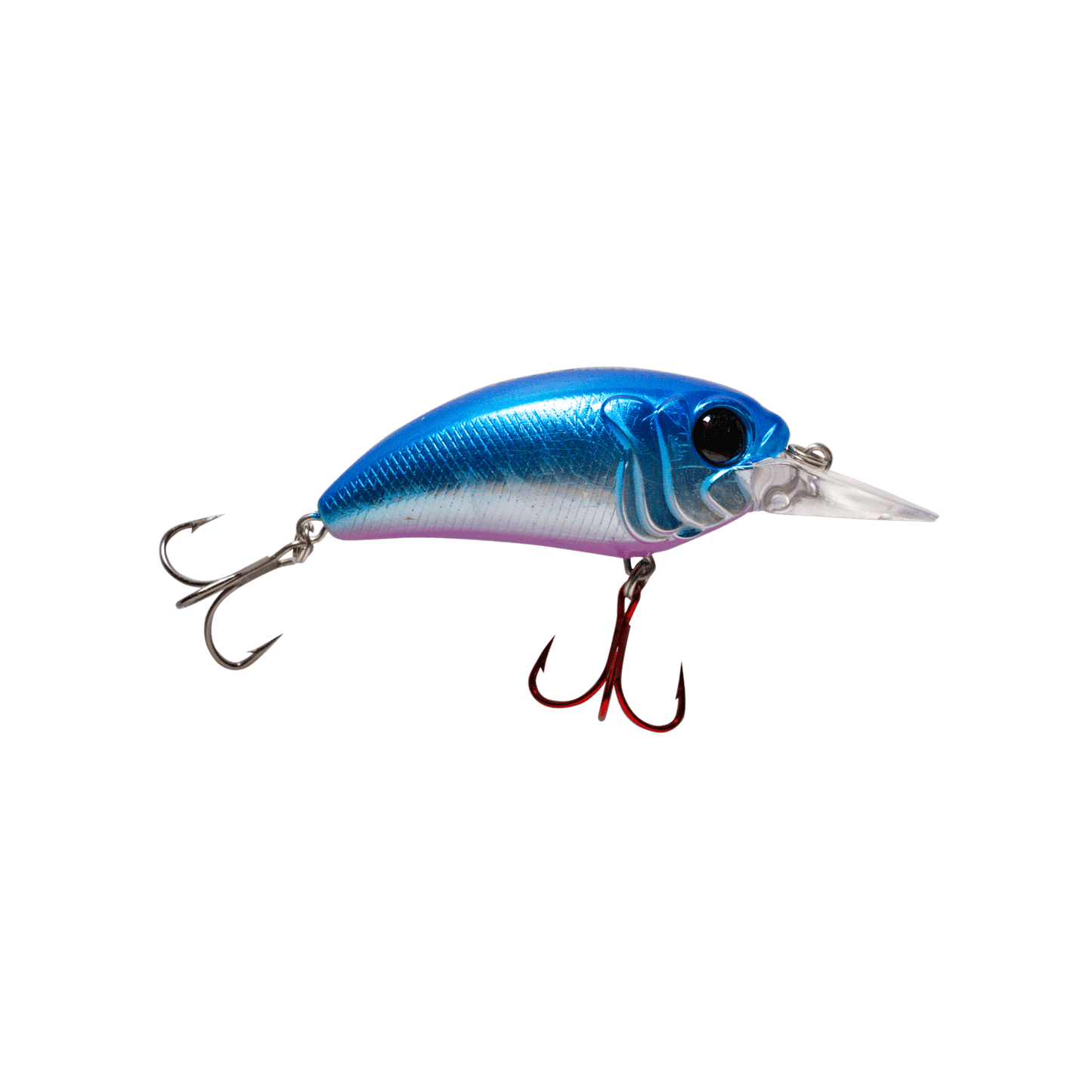 MONSTERBASS Seeker 6 - Angler's Pro Tackle & Outdoors