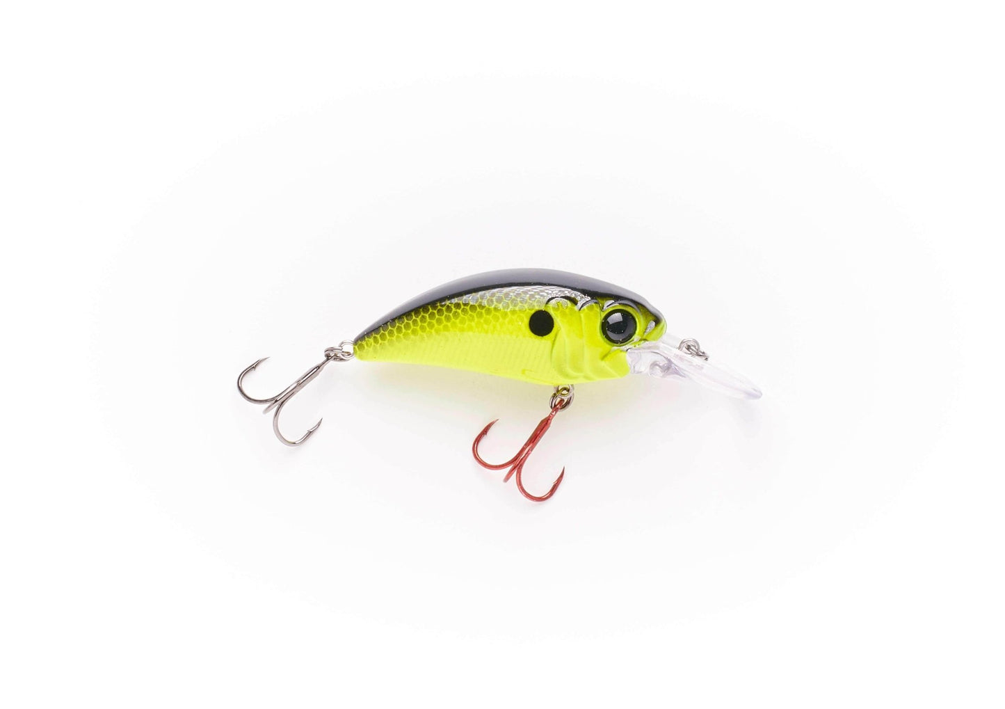 MONSTERBASS Seeker 8 - Angler's Pro Tackle & Outdoors