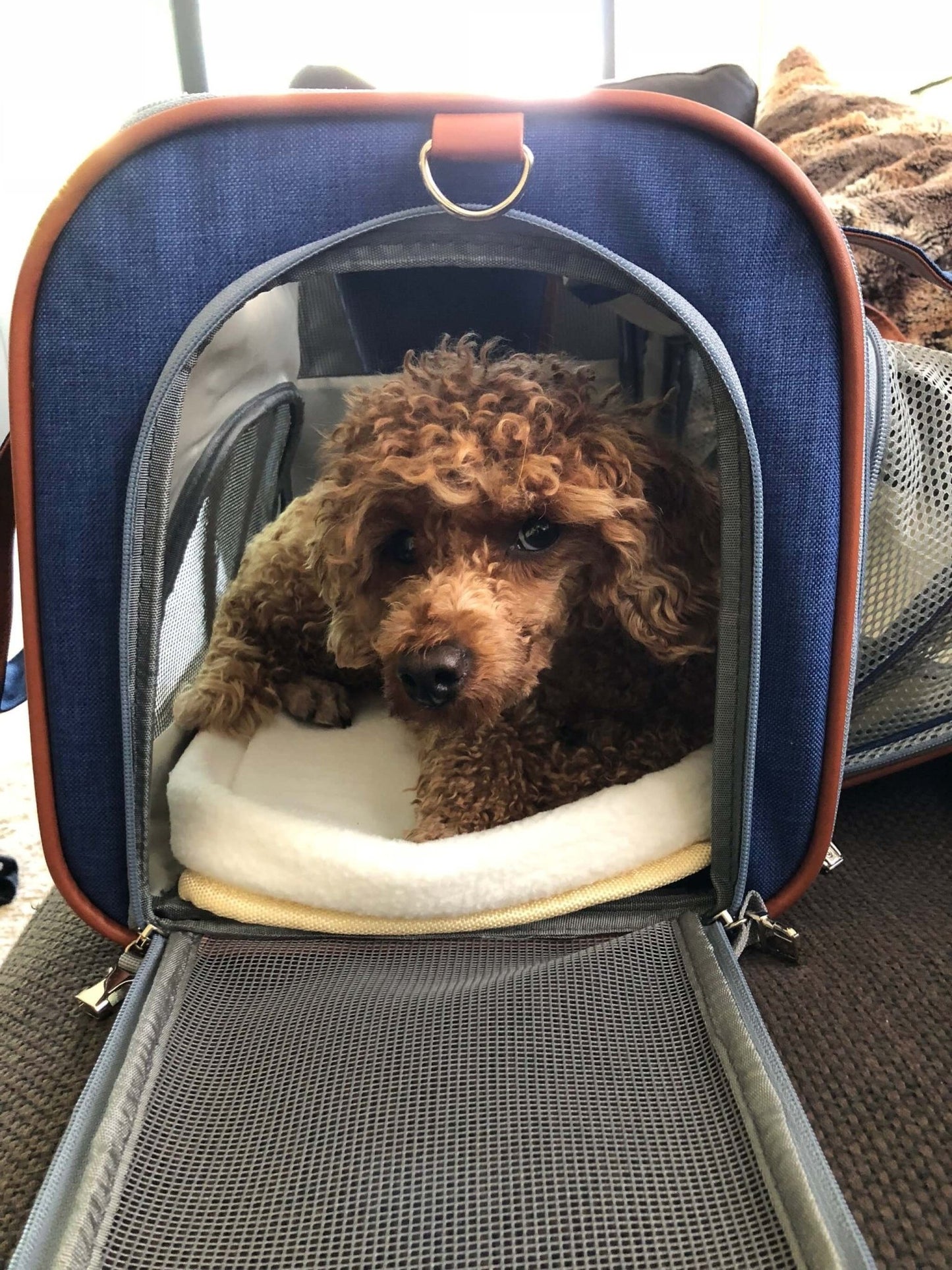 Mr. Peanut's Gold Series Standard Size Airline Compliant Expandable Pet Carrier - Angler's Pro Tackle & Outdoors