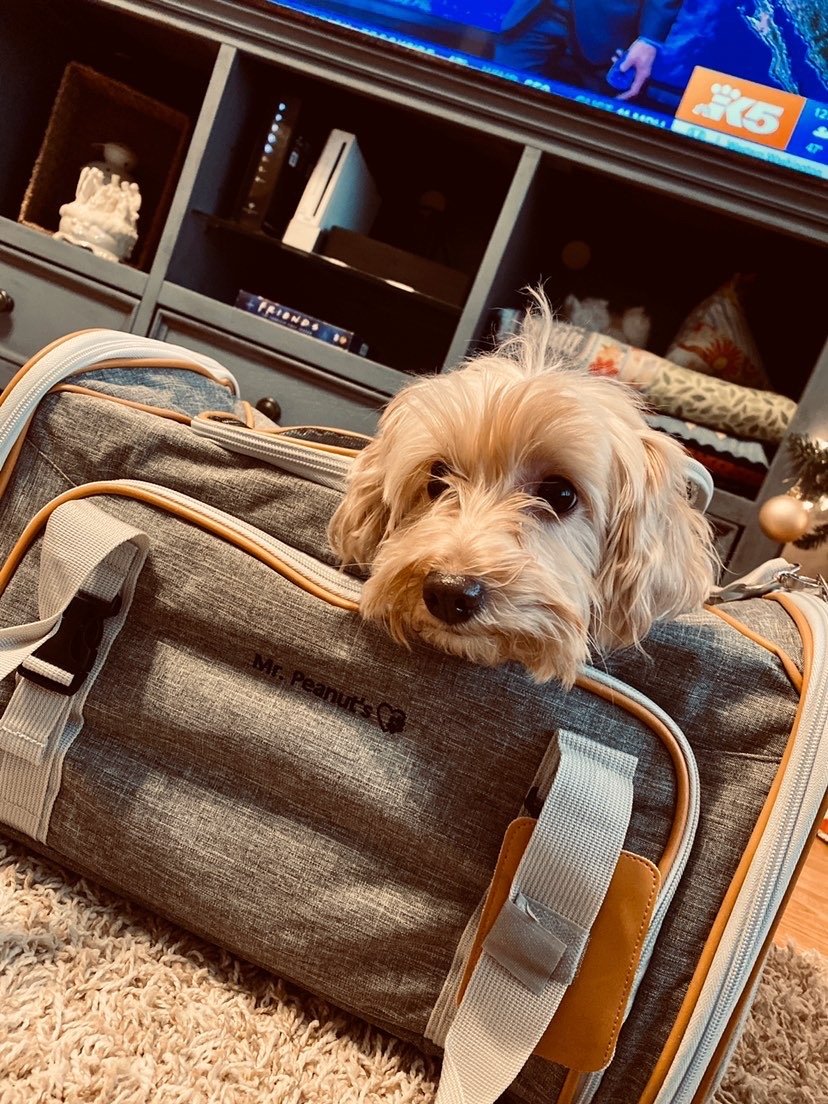 Mr. Peanut's Platinum Series Expandable Pet Carrier - Angler's Pro Tackle & Outdoors