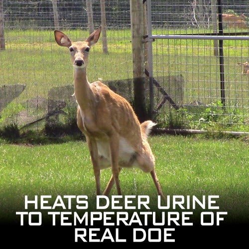 Outdoor Hunting Lab Hot Wick - Angler's Pro Tackle & Outdoors