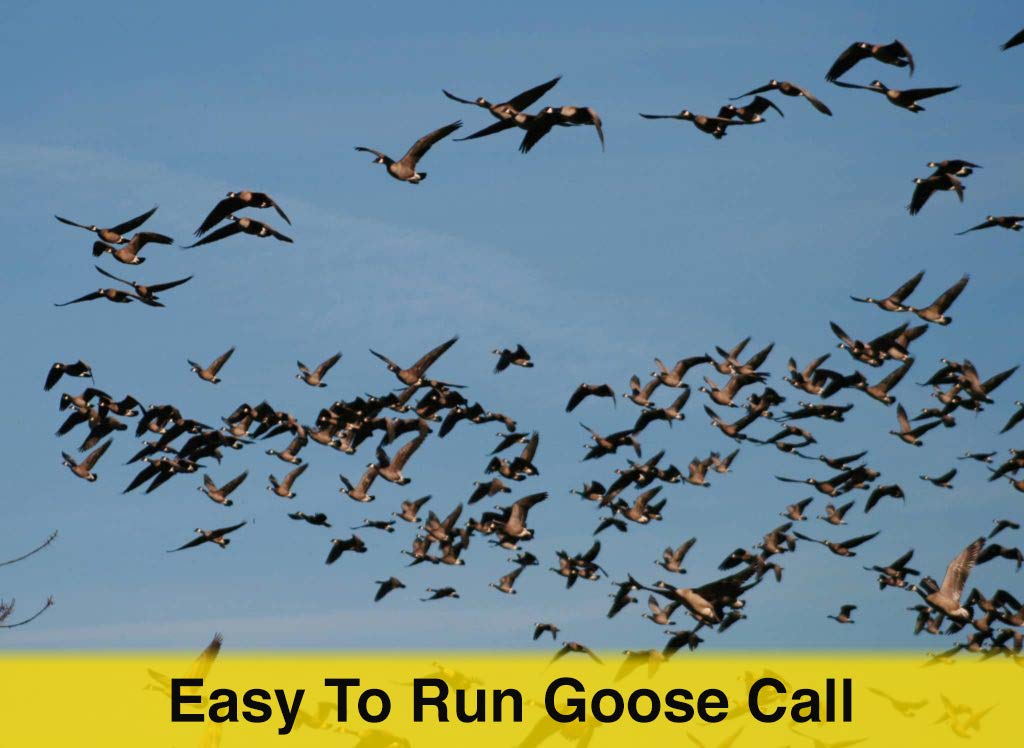 Outdoor Hunting Lab Waterfowl Goose Call - The Freezer call - Angler's Pro Tackle & Outdoors