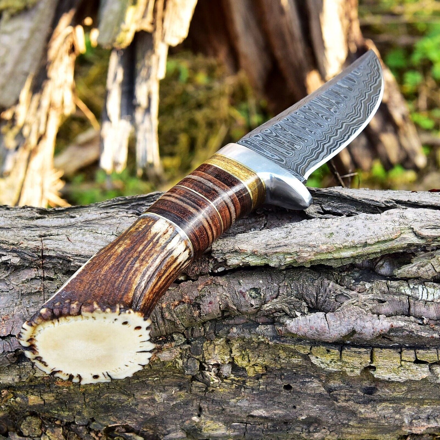 KBS Knives Custom Handmade Damascus Steel Hunting Knife with Rosewood, Stag Horn and Steel Guard Handle - 9 Inches by KBS Knives Store
