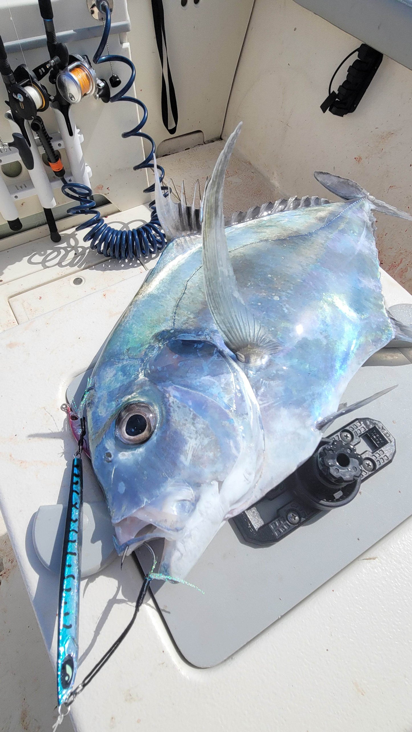 Submission Fishing Co - Ogre Jigs - Middleweight Division