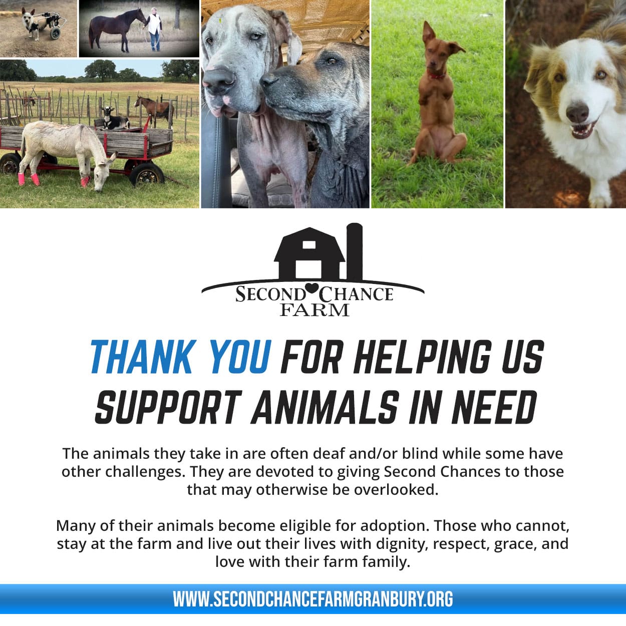 Rogue Iron Disc Golf Arctic