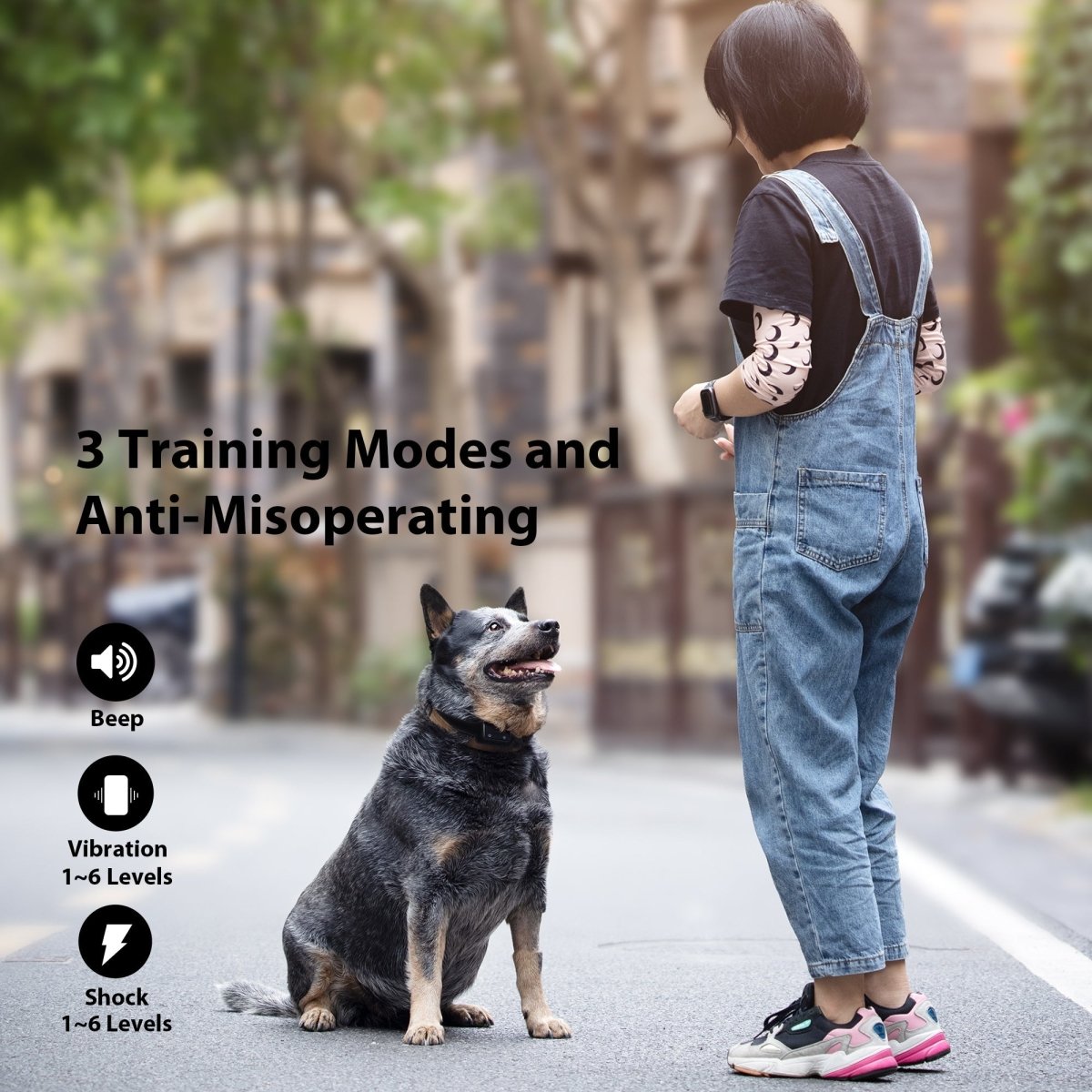 Pawious - Smart Dog Bark Collar B800, 2 pack - Rechargeable, Waterproof IPX68, Small to Large Dogs, Adjustable 5-22in, Color Display