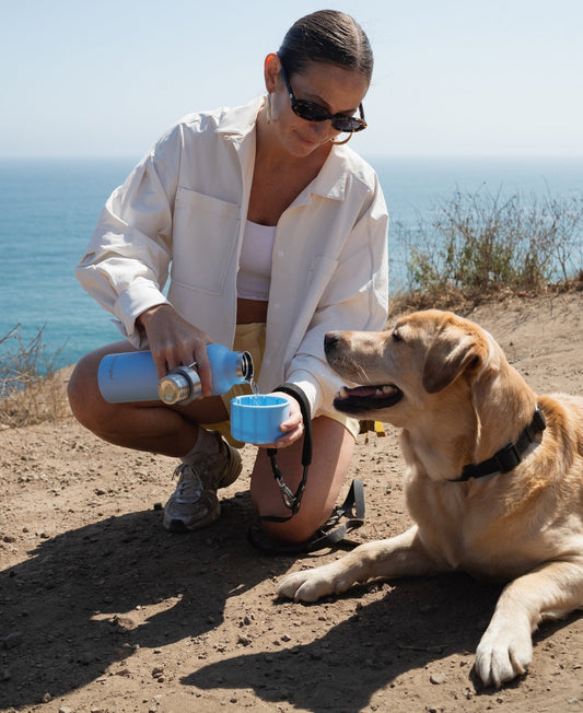 Springland Pets 24oz Dog & Me Insulated Water Bottle - Angler's Pro Tackle & Outdoors