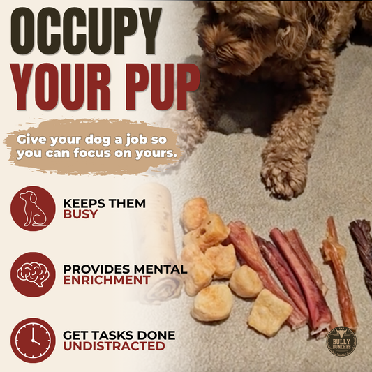 Bully Bunches - Bully Bunches Puppy Pack