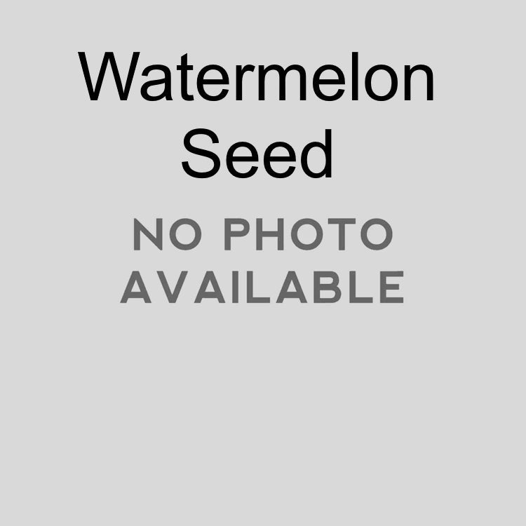 Strike King Rage Tail Lizard - Angler's Pro Tackle & Outdoors