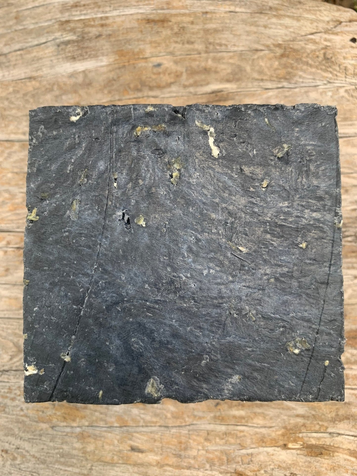 Sudsy Bear - Old Forest Pine Tar Bar Soap - Angler's Pro Tackle & Outdoors