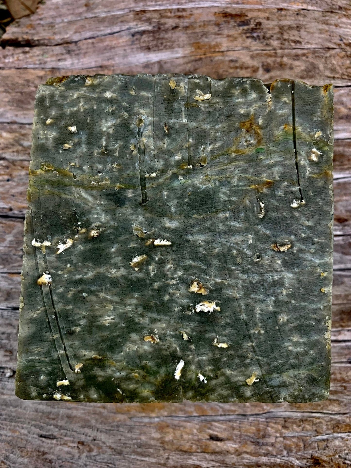 Sudsy Bear - Swamp Dweller Bar Soap - Angler's Pro Tackle & Outdoors