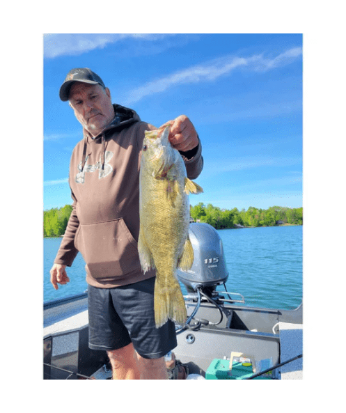 WM Bayou Techno Frog