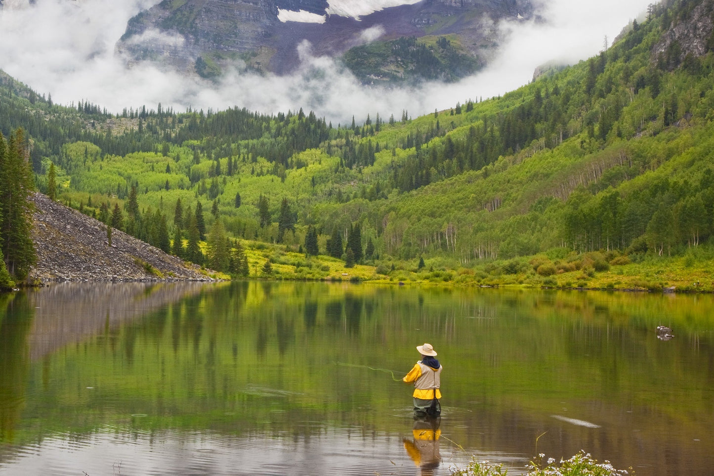 The Fly Fishing Place 3 Pack Kaufmann's Royal Crystal Stimulator Rubber Legs Dry Fly - Hook Size 16 - Angler's Pro Tackle & Outdoors