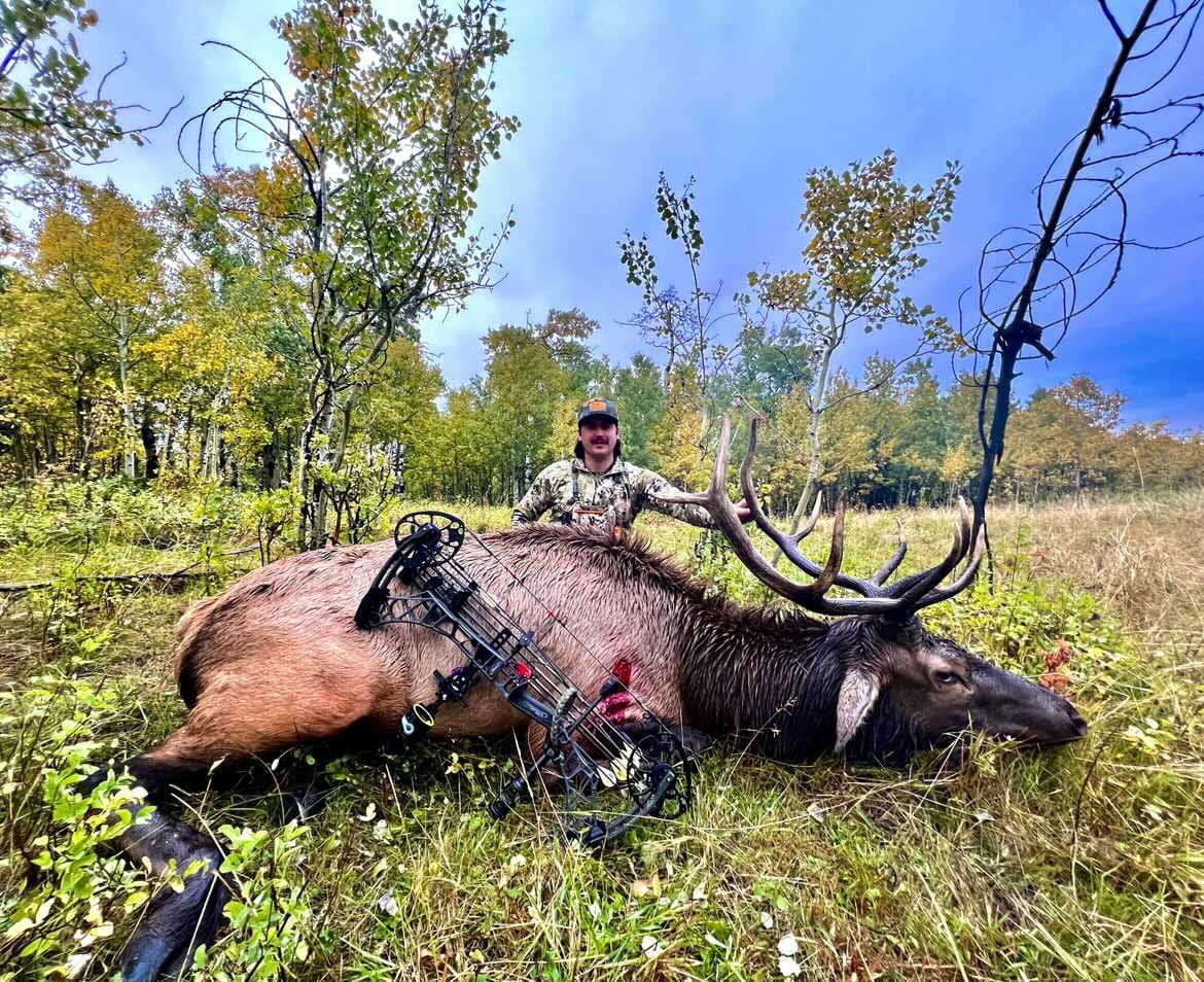 TOTA | 125 grain broadhead | 1-inch solid | fixed blade