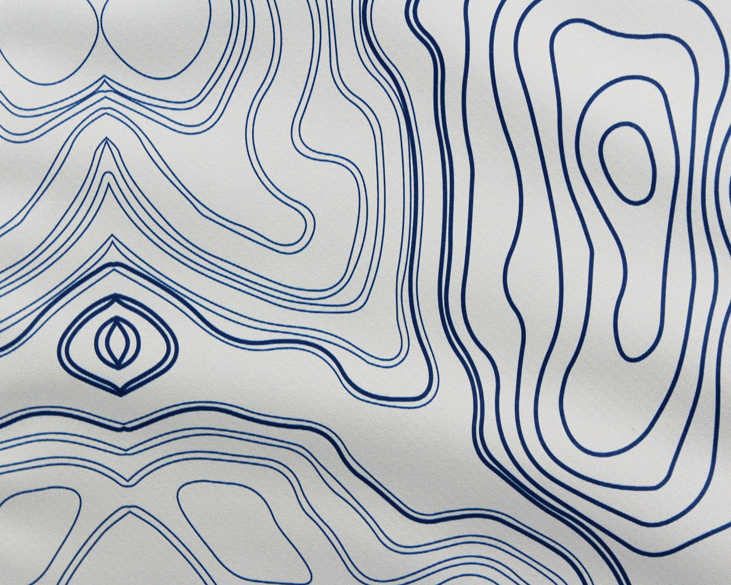 AO Coolers - Topographic Insulated Fish Bag