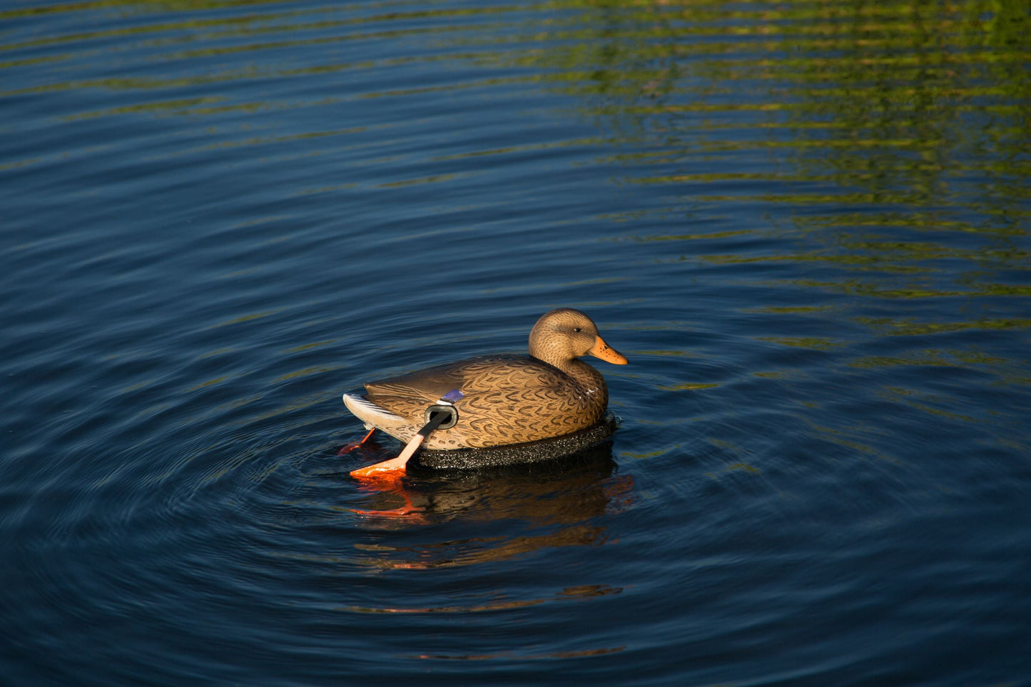 Air Boss Motion Decoys The Wadder Combo