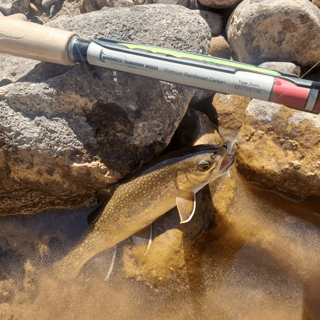 Wasatch Daikyu T - Hunter Tenkara Rod - Angler's Pro Tackle & Outdoors