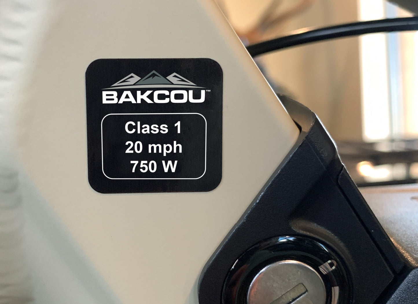 Bakcou Weather-Proof 750w Bike Label