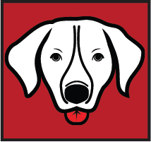 Yankum Ropes 5 Ft Dog Winch Leash - Angler's Pro Tackle & Outdoors