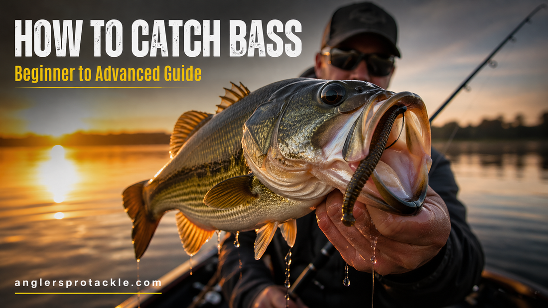 How to Catch Bass Consistently — Not Just When You Get Lucky